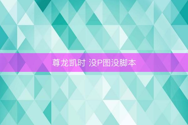 尊龙凯时 没P图没脚本